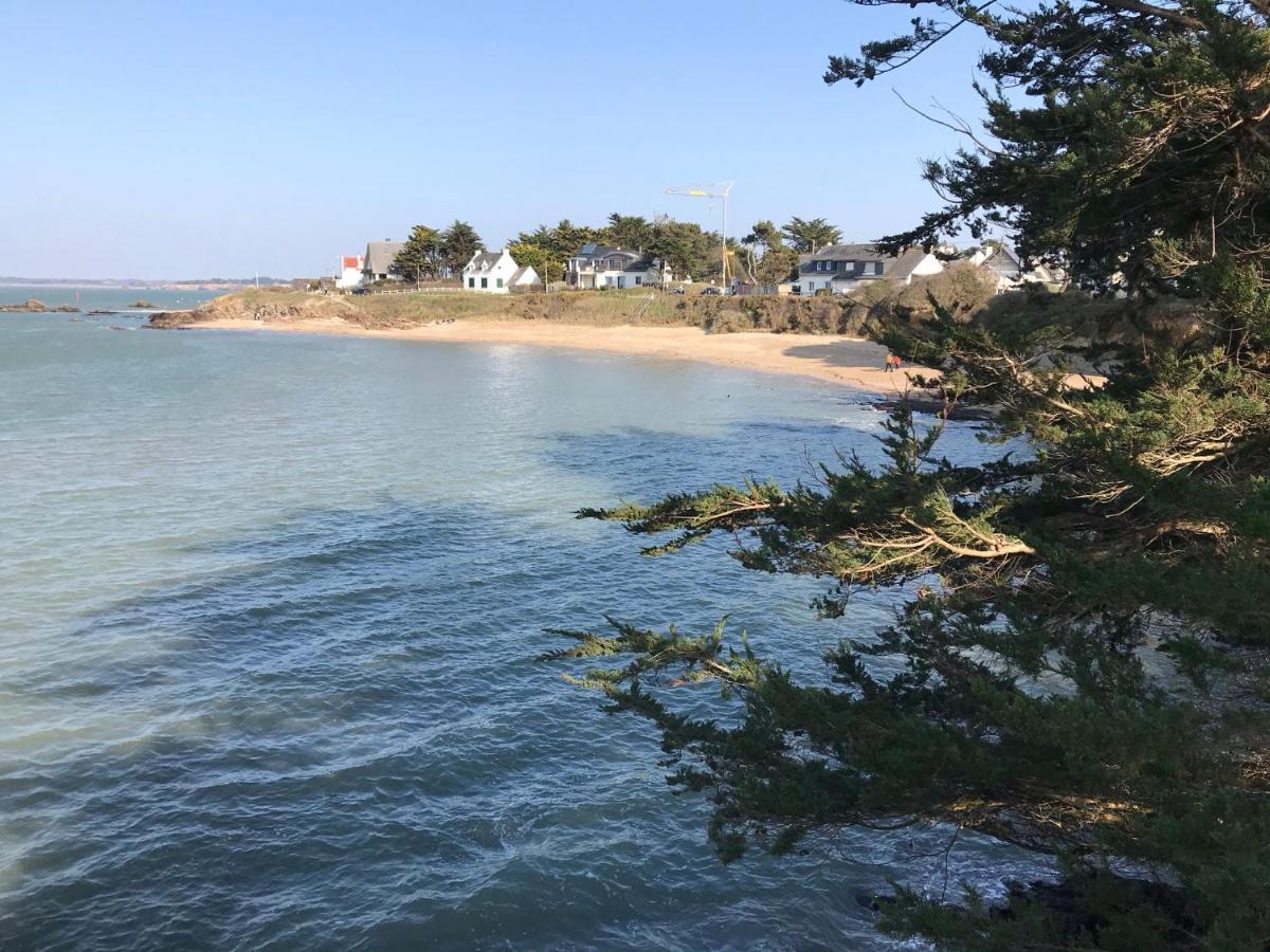 Lodge Le Cabanon Acces Direct Plage ! La Turballe Luaran gambar